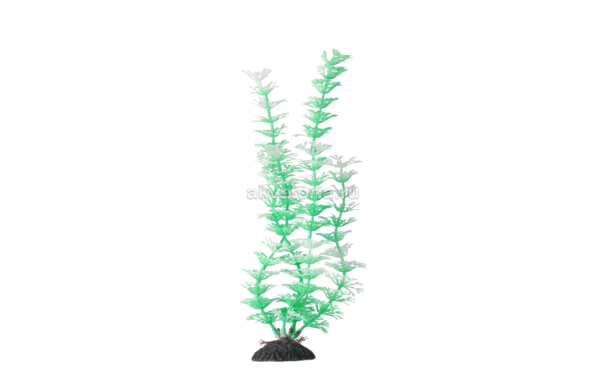 Искусственное растение Naribo Амбулия зелёная, 31 см
