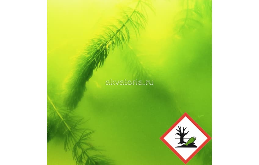 Кондиционер против плавающих водорослей JBL AlgoPond Green, 2,5 л