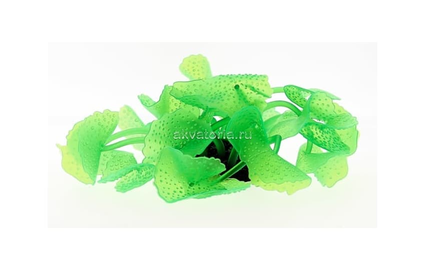 Искусственный коралл Vitality зелёный (SH138G)