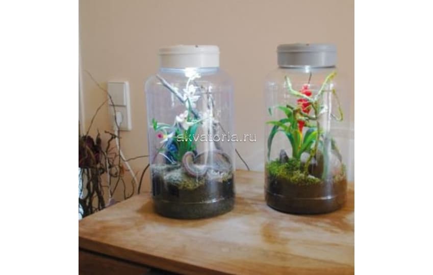 Инсектарий Lucky Reptile InsectTarrium, 5 л, 15×15×25 см