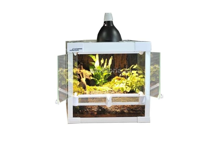 Террариум Lucky Reptile Herp TerrariumSwing, 30×30×30 см, белый