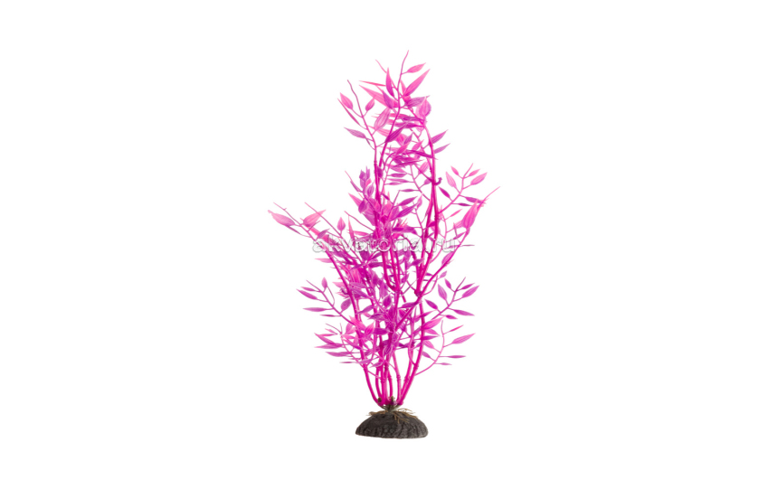 Искусственное растение Naribo Ротала розовая, 34 см