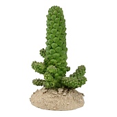 Искусственное растение Gloxy Монадениум ричи