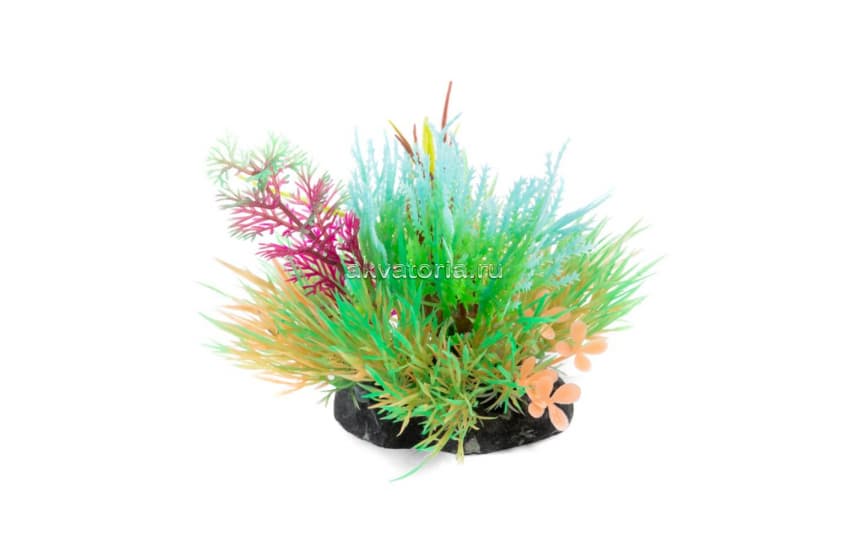 Композиция из светящихся растений Laguna, бордово-бирюзовая, 12 см