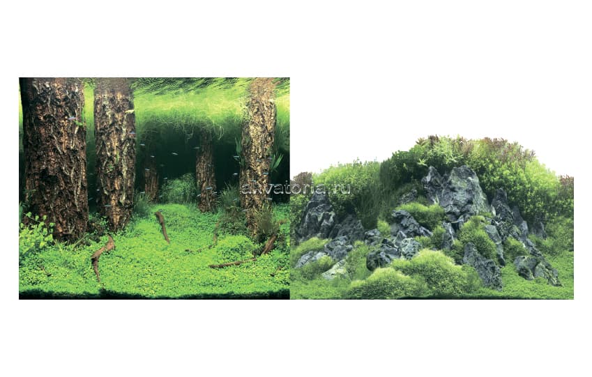 Фон-плёнка Prime 50×100 см, Затопленный лес/Камни с растениями