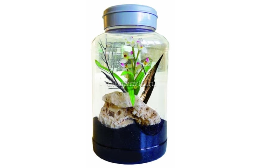 Инсектарий Lucky Reptile InsectTarrium, 5 л, 15×15×25 см