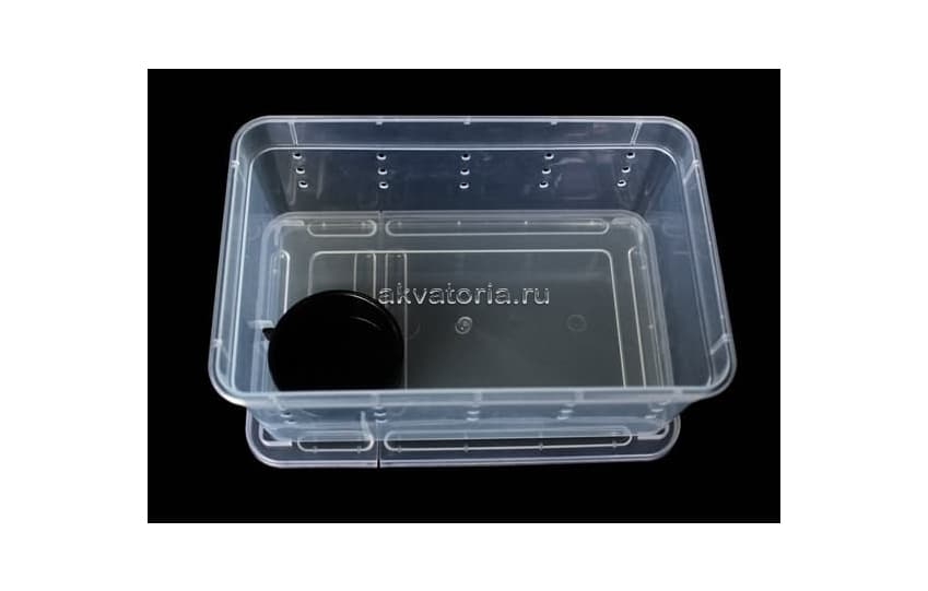Отсадник Nomoy Pet Small Feeding Box H3, 19×12,5×7,5 см