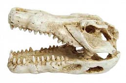 Аквариумная декорация PRIME «Череп крокодила мини» 7,5×4,5×4,5 см