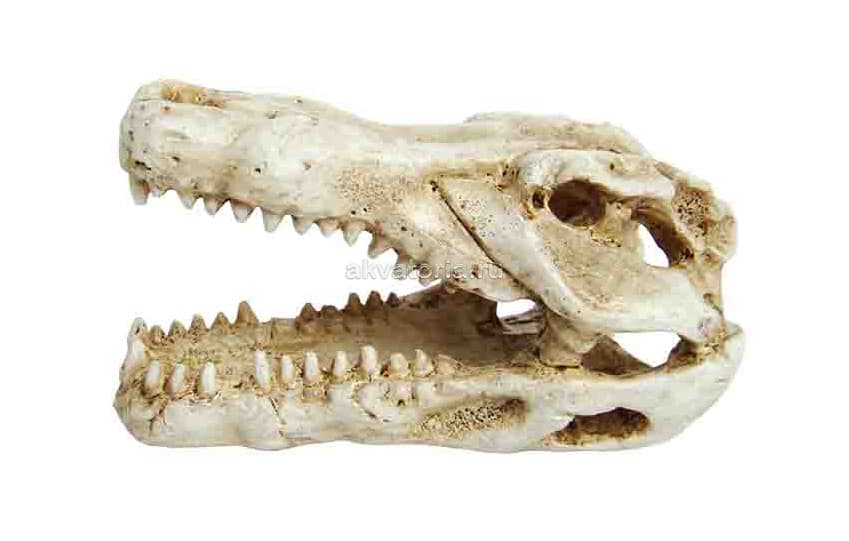 Аквариумная декорация PRIME «Череп крокодила мини» 7,5×4,5×4,5 см