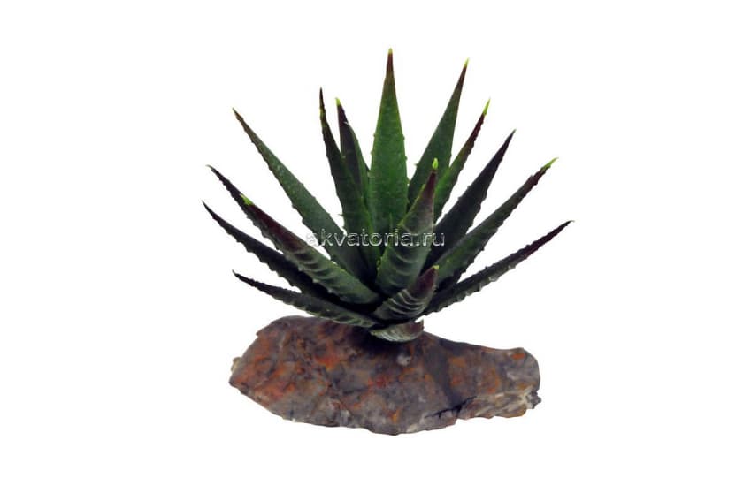 Искусственное растение Lucky Reptile Tiger Aloe, 8 см