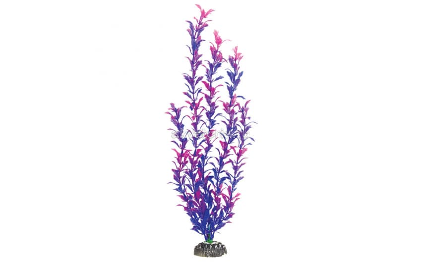 Искусственное растение Laguna Людвигия фиолетовая, 20 см