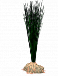 Искусственное растение Tetra DecoArt Premium Hairgrass (аир) 24 см