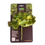 Искусственное растение NOVAMARK TERRA Эхеверия Шавиана, зелёная, 15 см