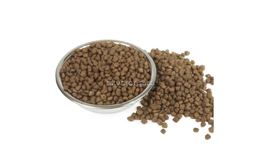 Корм для выставочных кошек Gina Cat Active, цыпленок, утка, рис, сухой, 1 кг