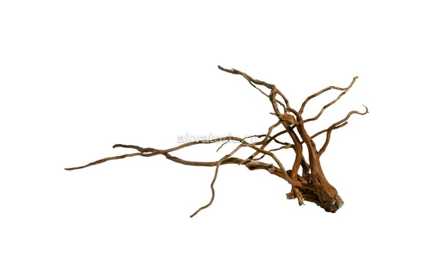 Коряга натуральная Сакура (Desert Driftwood), XXL