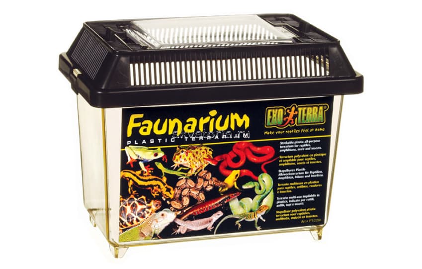 Фаунариум-отсадник плоский пластиковый Hagen ExoTerra Faunarium, 18×11×12,5 см 