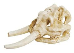 Аквариумная декорация ArtUniq Elephant Skull "Череп слона"