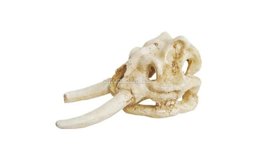 Аквариумная декорация ArtUniq Elephant Skull 