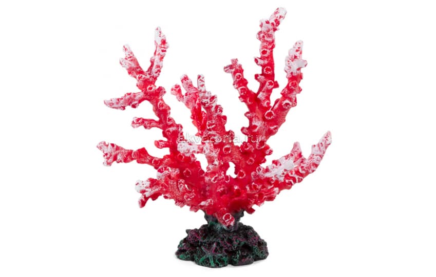 Искусственный коралл Laguna Монтипора красная