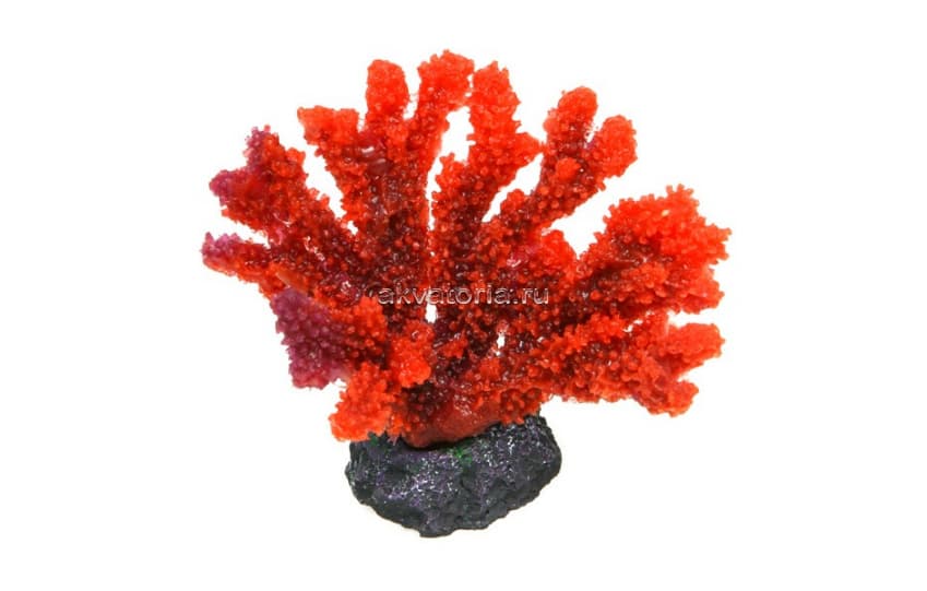 Искусственный коралл Vitality красный, L (MA117MR)