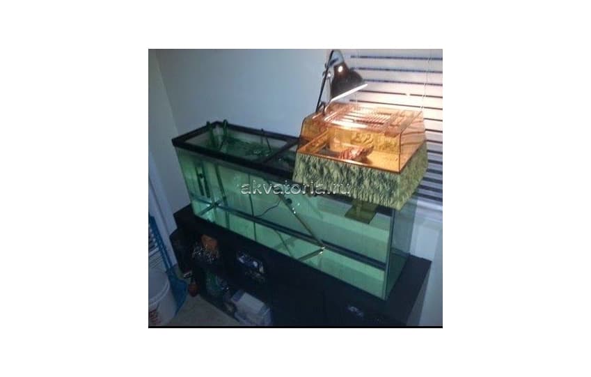 Площадка для черепах на аквариум Reptology, 43×36 см
