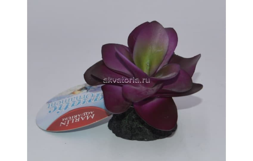 Искусственное растение Marlin Aquarium "Суккулент", 9,5×9,5×8 см