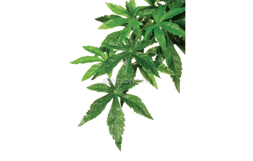 Искусственное подвесное растение на присоске Hagen ExoTerra Abutilon 55 см