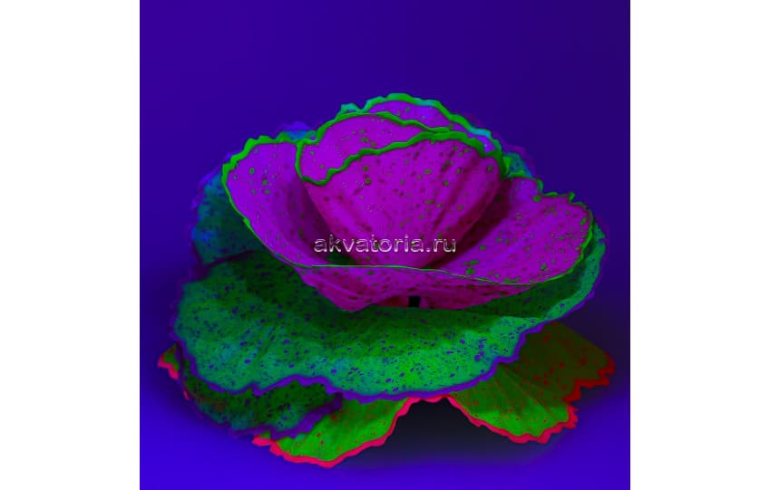 Искусственная декорация флуоресцентная GLOXY Морской салат
