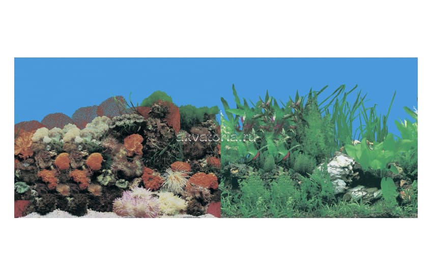 Фон-плёнка Prime 50×100 см, Кораллы/Растительный