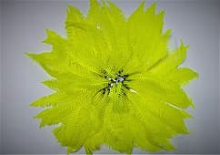 Искусственный коралл Vitality жёлтый (SH131MY)