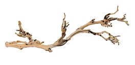 Коряга натуральная EXO TERRA Forest Branch Medium виноградная лоза, 60 см