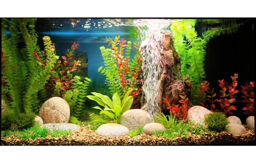 Самостоятельное оформление аквариума 60-150 л искусственными растениями (тип 2)