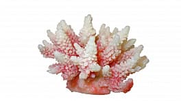 Искусственный коралл Vitality красно-белый (SH095PI)