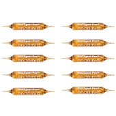 Prodibio BioDigest Pro10