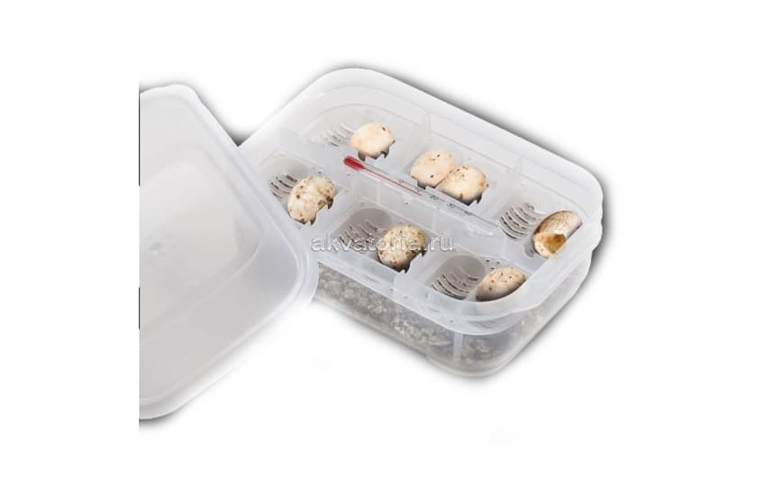 Инкубатор для яиц рептилий Hagen ExoTerra Incubator, 16,5×11×5 см