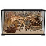 Террариум Repti Planet Glass Terrarium, 50,5×30,5×25 см
