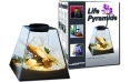 Флорариум-инсектариум в пирамиде Lucky Reptile Life Pyramide, 30×30×30 см, свет белый