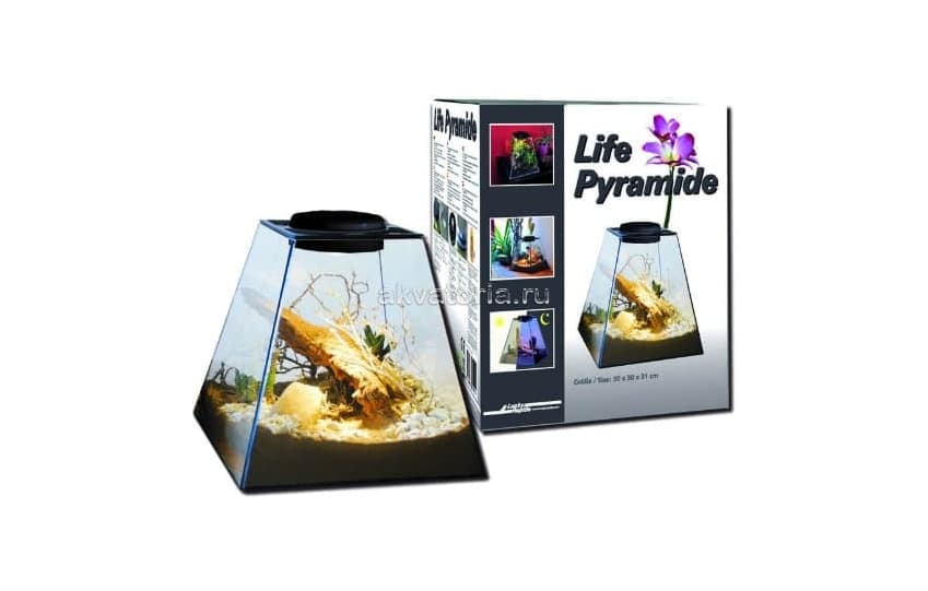 Флорариум-инсектариум в пирамиде Lucky Reptile Life Pyramide, 30×30×30 см, свет белый