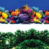 Фон-пленка Laguna 30×60 см, Обитатели рифа/Джунгли