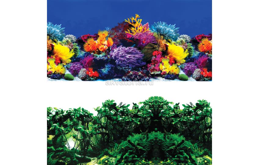 Фон-пленка Laguna 30×60 см, Обитатели рифа/Джунгли