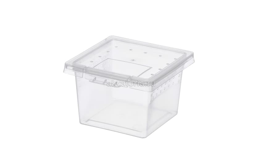 Отсадник Nomoy Pet Square Box H1, 7×7×4,5 см, 20 шт