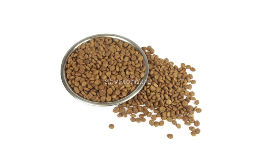 Корм для взрослых кошек Gina Cat Rabbit & Rice, кролик, рис, сухой, 1 кг