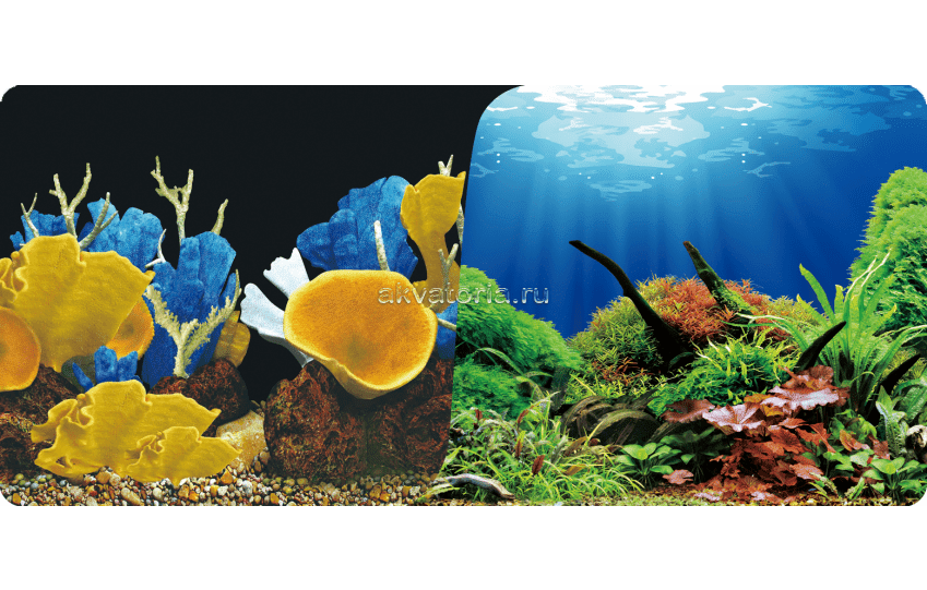 Фон-пленка Prime 60*30 см, Морские кораллы/Подводный мир