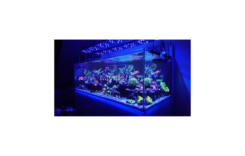 Светильник Reef Breeders Photon 50-V2 Pro