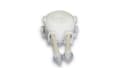 Головка для насоса GHL Dosing pump head for Doser 2