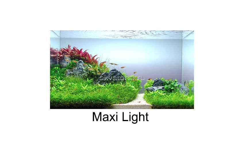 Освещение LED SCAPE MAXI LIGHT