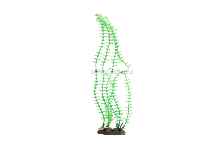 Искусственное растение Naribo Бакопа зелёная, 33 см