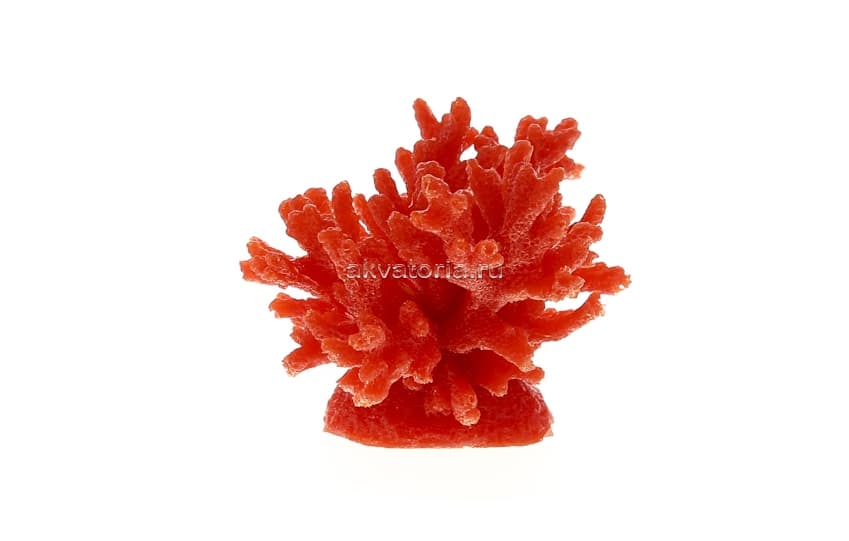 Искусственный коралл Vitality красный, S (SH066R)