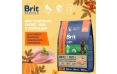 Корм для взрослых собак Brit PREMIUM Sport 5000, курица, 3 кг