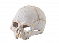 Террариумная декорация Hagen ExoTerra Primate Skull Small  "Череп примата малый"